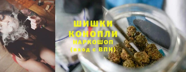 круглые Корсаков