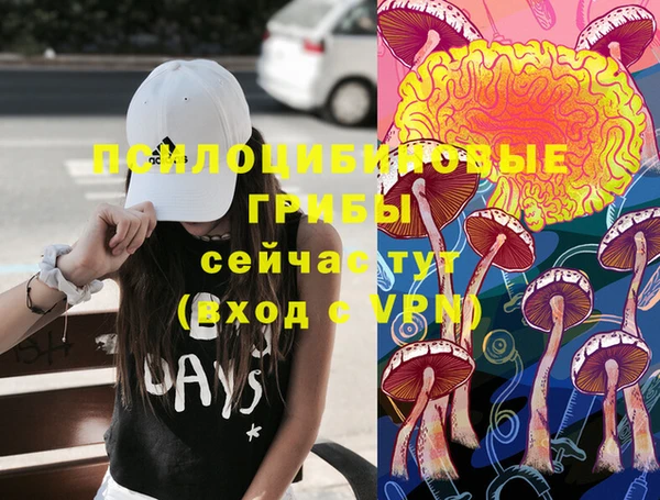 круглые Корсаков