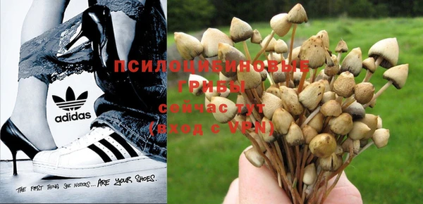 каннабис Костерёво