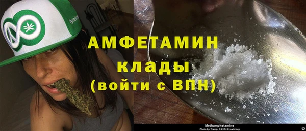 мдпв Козельск