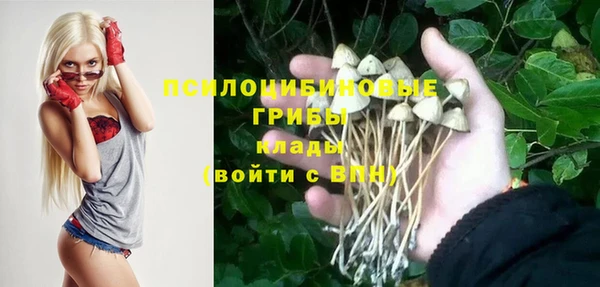первитин Козловка